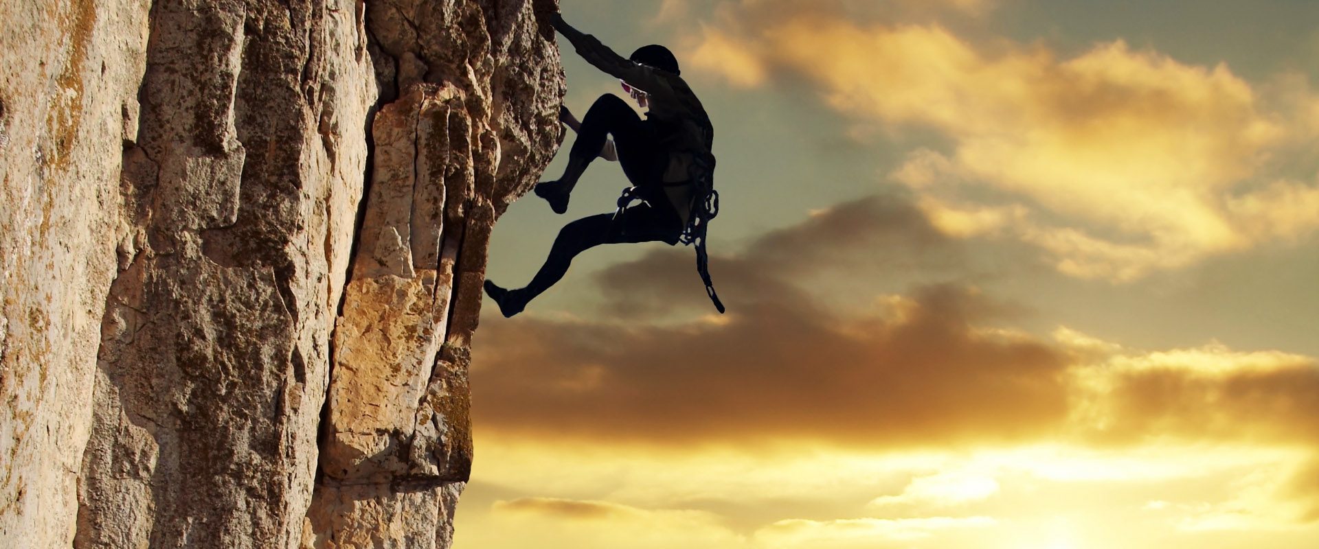 Risk Profile