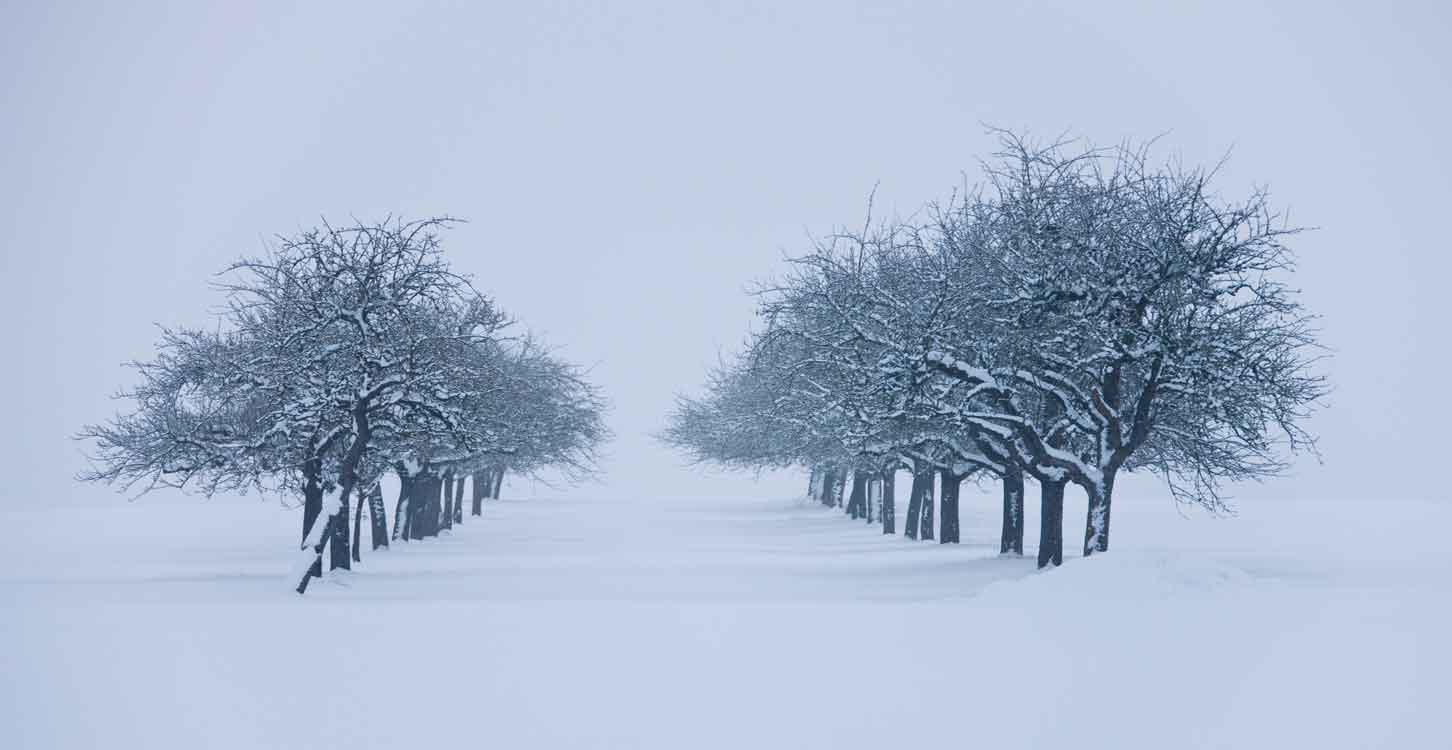 Heavy snowfall in extreme winter covered trees pathway